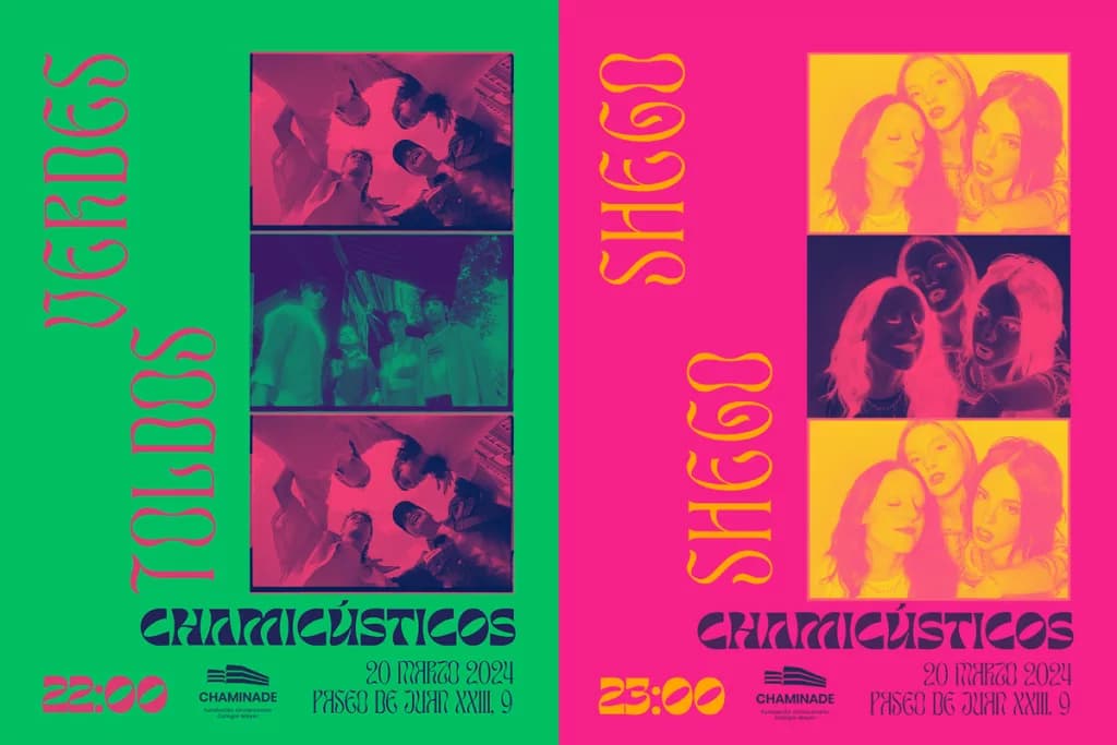 Cartel del segundo concierto de los Chamicústicos 2024 con los artistas invitados Toldos Verdes y Shego