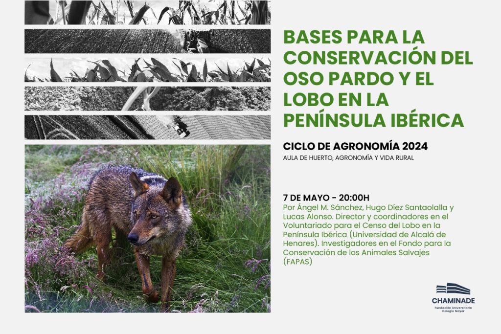 Cartel de la conferencia "Bases para la conservación del oso pardo y el lobo en la Península Ibérica", del Ciclo de Agronomía 2024